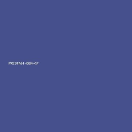 PRESTA91 07 — Spor Sneaker